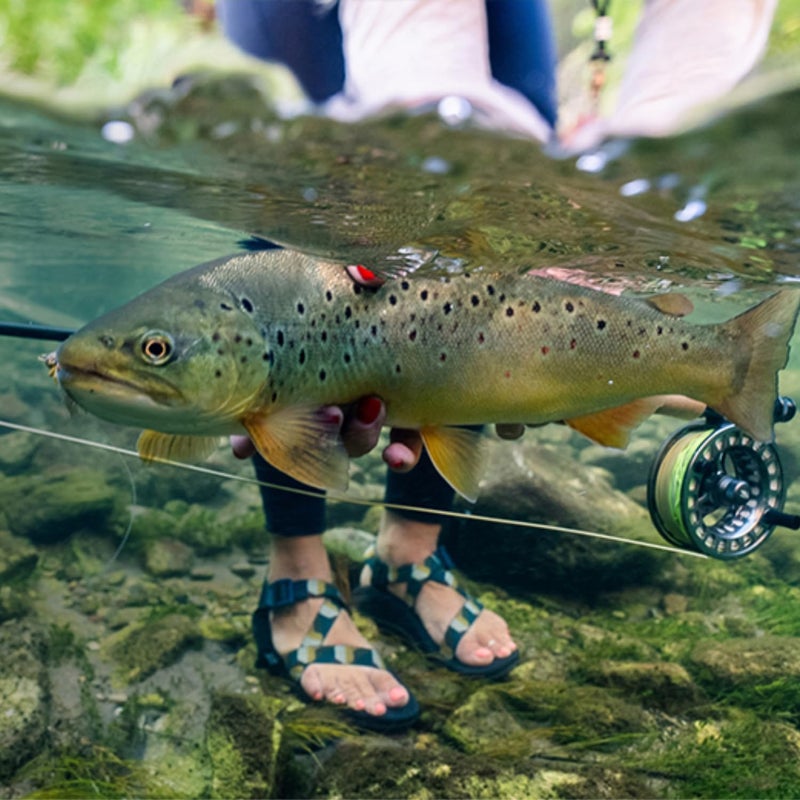RIO PRODUCTS Mainstream Trout DT Fly Line - Developed for The Average Fly Fishermen - Easy Casting and Smooth Design - Freshwater - 5 Weight - Image 4